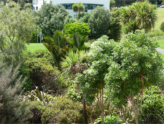 grün, grün, grün grün, grün, grün