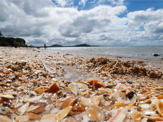takapuna beach takapuna beach